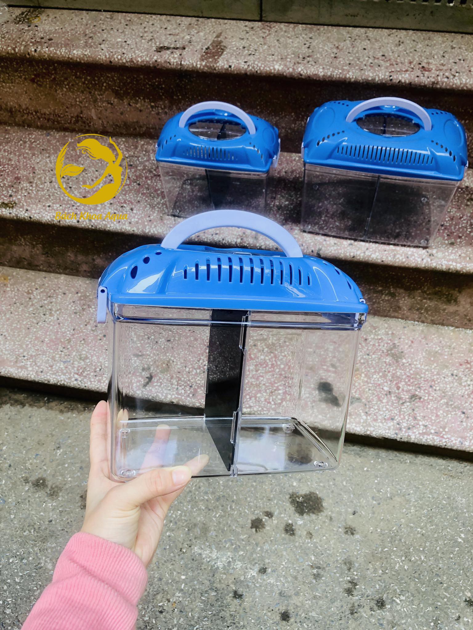 Lồng mica Leecom cho cá tiện dụng đủ kích thước